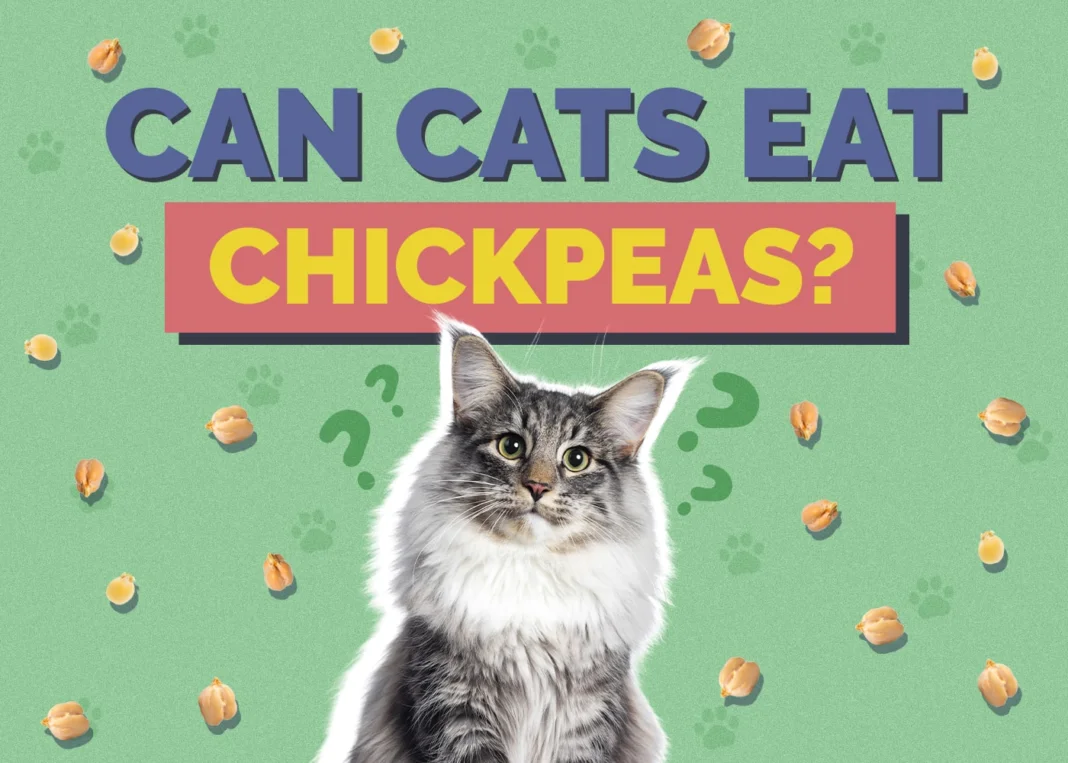 can cats eat chickpeas